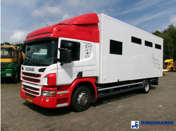 Horse truck SCANIA P 280