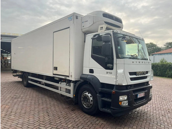 Refrigerator truck IVECO Stralis